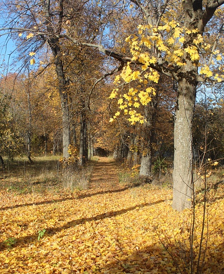 Парк-усадьба хутора Эртель